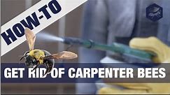 Get Rid Of Carpenter Bees (3-Easy Steps)