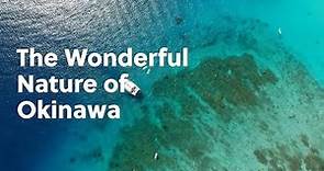 The Wonderful Nature of Okinawa