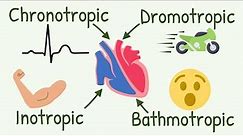 Chronotropic, Inotropic, Dromotropic, Bathmotropic Actions Explained || Cardiac Tropism