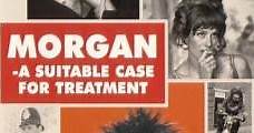 Morgan, un caso clínico (1966) Online - Película Completa en Español - FULLTV