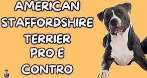 American Staffordshire Terrier: Pro e Contro
