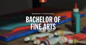 Degrees: Bachelor of Fine Arts