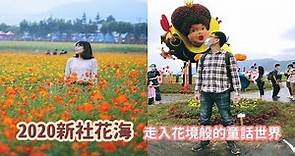 [2020新社花海攻略] 教你搭免費接駁車直達花海展區，還有走入愛麗絲夢遊仙境童話世界般臺中國際花毯節