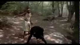Die Ritter der Kokosnuss - Der Schwarze Ritter (Monty Python)