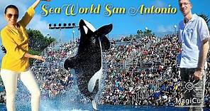 Full Tour of SeaWorld San Antonio in Texas 2024【4K】