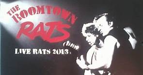 The Boomtown Rats - Live Rats 2013