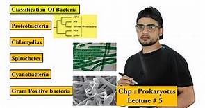 Classification of Bacteria | Prokaryotes |