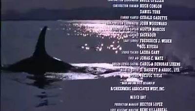 Free Willy Ending - Will You Be There