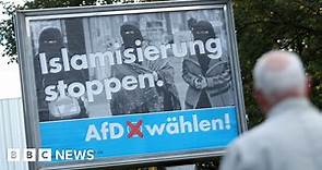 Germany's AfD: How right-wing is nationalist Alternative for Germany?