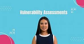 What are Vulnerability Assessments?