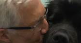 Paul O'Grady Says Goodbye to Peggy on For The Love Of Dogs