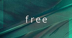 "Free" | Official Lyric Video | Christian Music | feat. Connor Austin #strivetobe