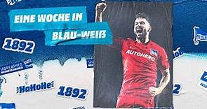 HaHoHe - Eine Woche in Blau-Weiß | 10.Spieltag | TSG 1899 Hoffenheim vs. Hertha BSC