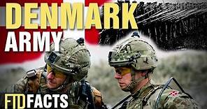 10+ Incredible Facts About The Denmark Army (Hæren)