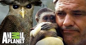 Los animales salvados por Frank Cuesta | Wild Frank: Al rescate | Animal Planet