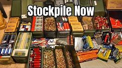 6 Calibers You NEED To Stockpile In 2024!!