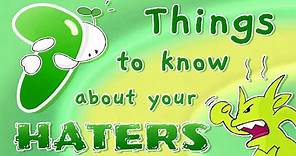7 Things To Know About Your Haters