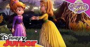 La Princesa Sofía: Momentos Mágicos - Amber es una Heroína | Disney Junior Oficial