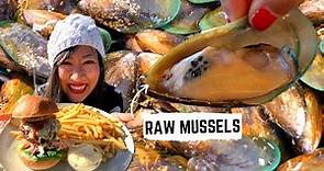 Eating RAW MUSSELS + New Zealand's OLDEST pub South Island, New Zealand | New Zealand FOOD TOUR
