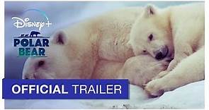 Polar Bear - Official Trailer | Disneynature | Disney+
