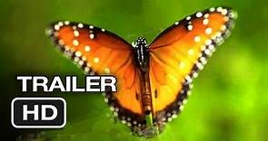 Disneynature: Wings of Life Official US DVD Release Trailer #1 - Meryl Streep Movie HD