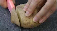 甘薯和马铃薯的繁殖方式-高清