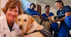 Meet 'Maggie,' the service dog who comforts staff at Jefferson