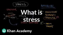 What is stress? | Processing the Environment | MCAT | Khan Academy