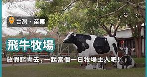 【台灣旅遊攻略】苗栗飛牛牧場，假日踏青去！親子景點推薦，一起來當個一日小小牧場主人｜KKday