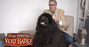 Dogs Behaving Very Badly - Series 3, Episode 1 | Full Episode