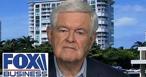 'URBAN RENAISSANCE': Newt Gingrich says Trump could dramatically rebuild America