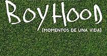 Boyhood (Momentos de una vida) - película: Ver online