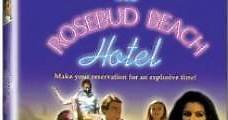 The Rosebud Beach Hotel (1984) Online - Película Completa en Español - FULLTV