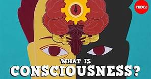 What is consciousness? - Michael S. A. Graziano