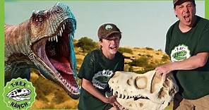 Dinosaur Adventure in the Desert | T-Rex Ranch +40 MINS of Kids Videos!