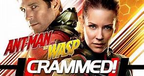 Ant-Man and the Wasp - ULTIMATE RECAP!