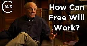 Warren Brown - How Can Free Will Work?