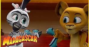 Los animales se disfrazan | DreamWorks Madagascar en Español Latino