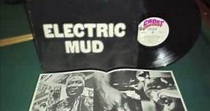 Muddy Waters Eletric Mud 1968) Full Album [HQ]