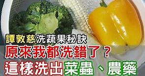 【挖健康】原來我都洗錯了！「譚敦慈洗蔬果秘訣」這樣洗出菜蟲農藥