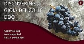 DISCOVERING GIOIA DEL COLLE DOC - A journey into an unexpected Italian excellence
