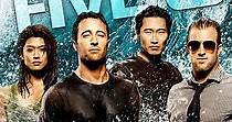 Hawaii Five-0 temporada 1 - Ver todos los episodios online