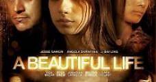 Una vida hermosa (2008) Online - Película Completa en Español - FULLTV