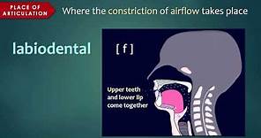 Introduction to Articulatory Phonetics (Consonants)