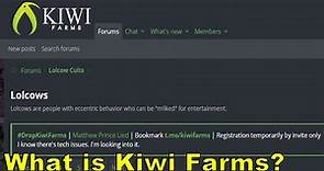 What is Kiwi Farms