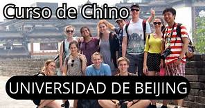 Curso de Chino Mandarín de la Universidad de Beijing (Pekín), Clases de chino 19