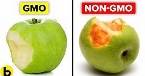 Genetically Modified Foods and Their Pros And Cons