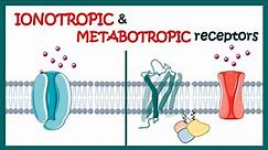 Ionotropic and Metabotropic receptors | Ionotropic receptors | Metabotropic receptors