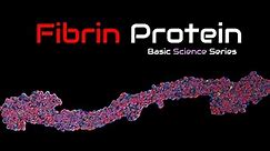 Fibrinogen | Fibrin 3D Structure | Function | Fibrinogen | Blood Proteins | Basic Science Series