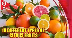 18 Different Types of Citrus Fruits